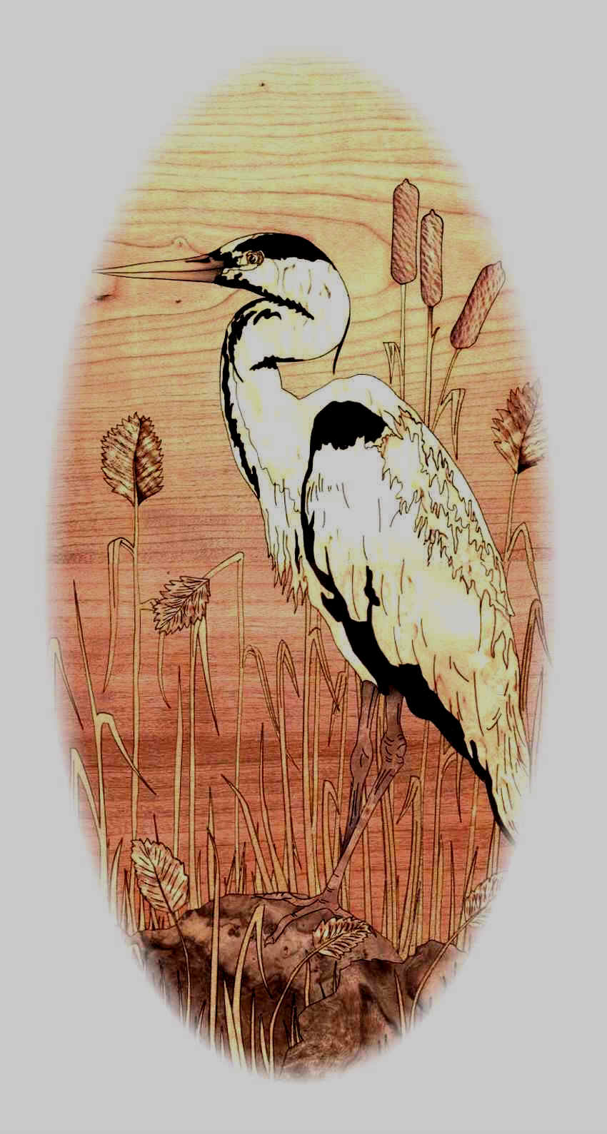Heron for marquetry clockcase for Graham Bemment