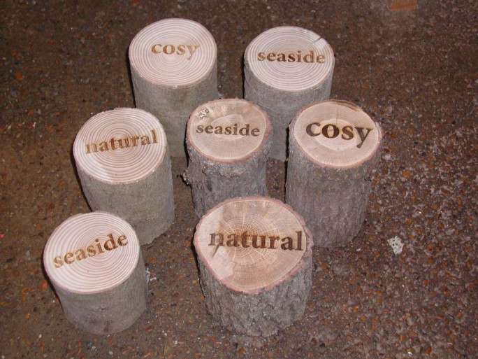laser engraved tree stumps