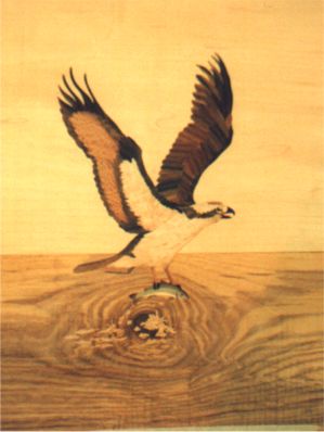 Fretsawn  Osprey marquetry panel for Doug Mooberry